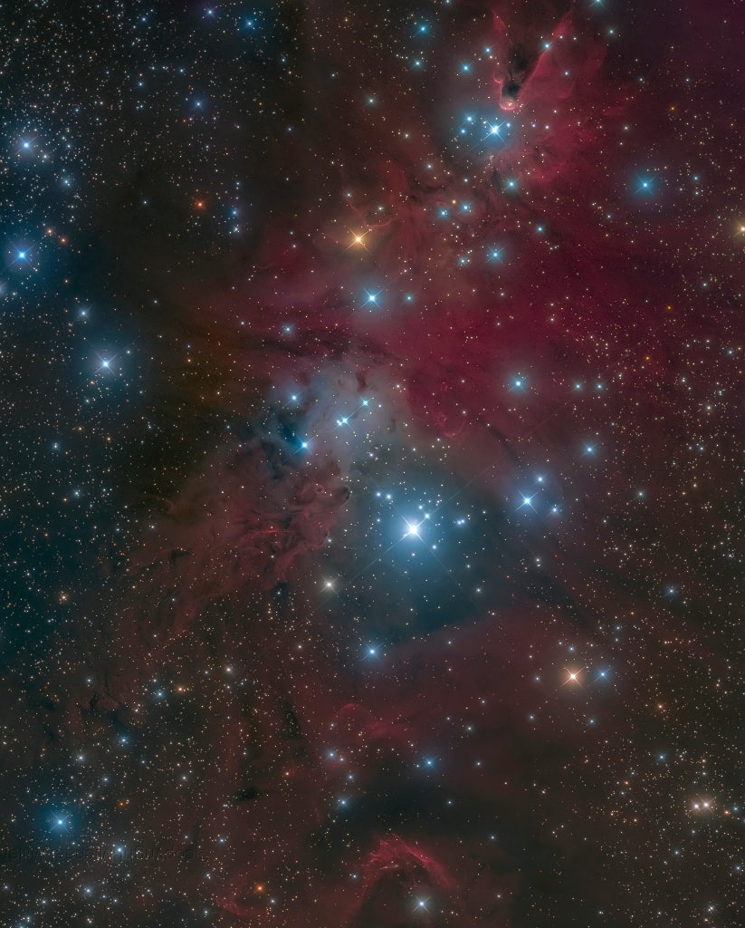 Fox Fur, Unicorn, and Christmas Tree