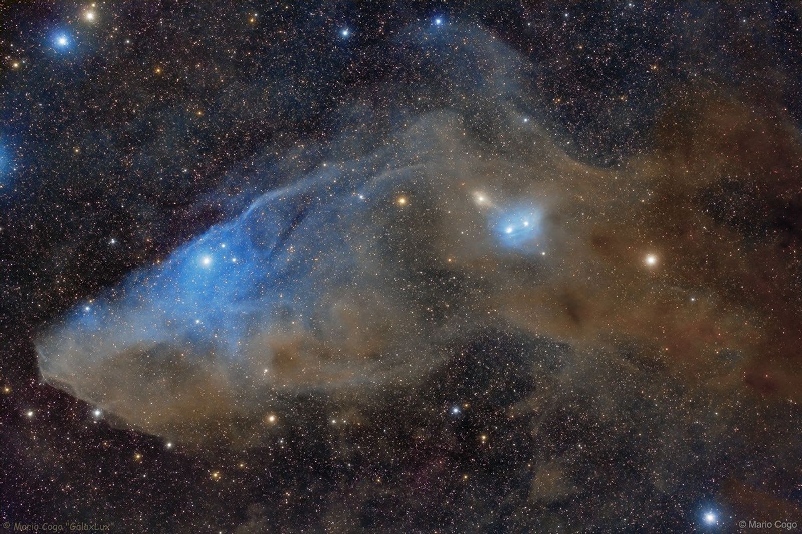 IC 4592: The Blue Horsehead Reflection Nebula