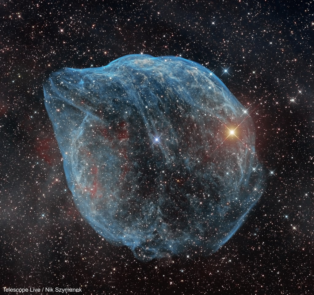 SH2-308: The Dolphin-head Nebula