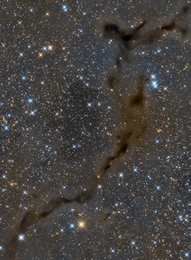 The Dark Seahorse in Cepheus