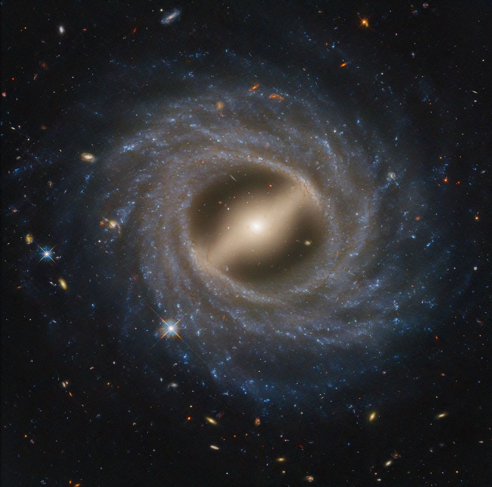 Barred Spiral Galaxy NGC 5335