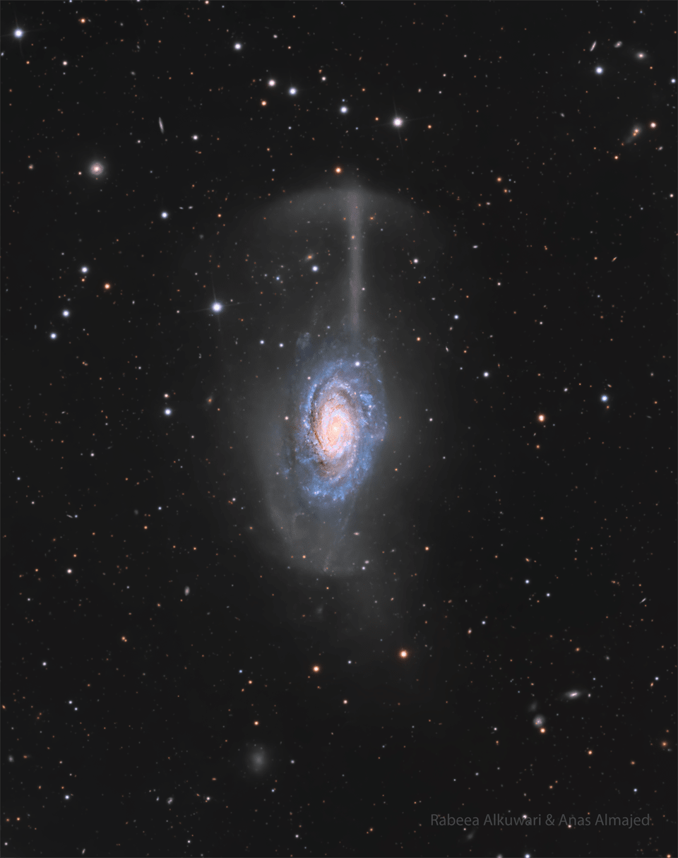 NGC 4651: The Umbrella Galaxy