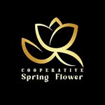 Spring Flower