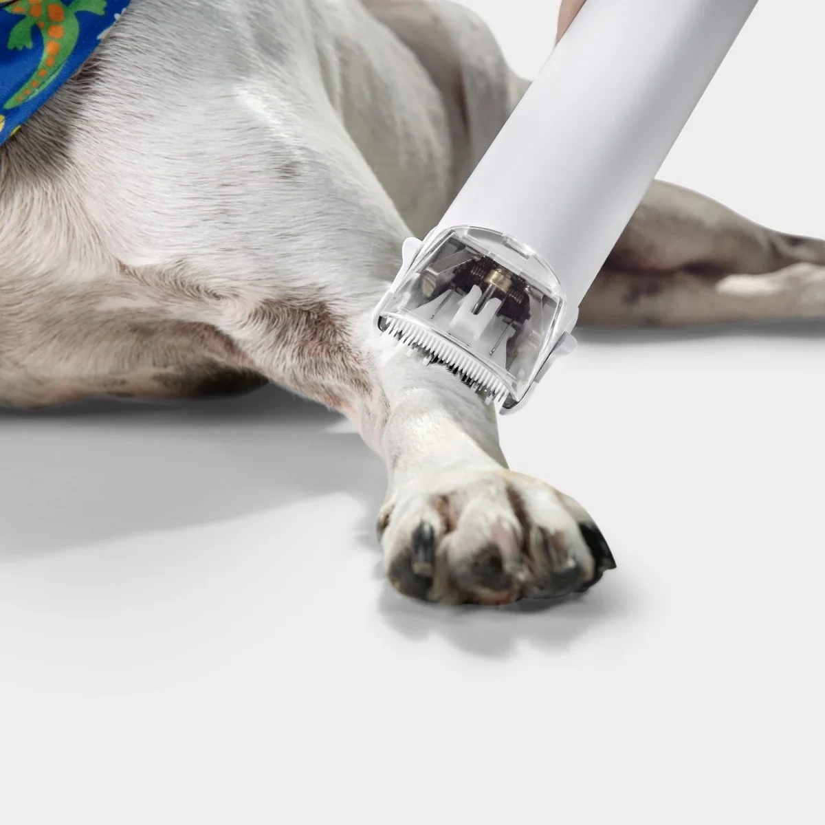 Aspiradora KARCHER Pet Clean — miniatura 5