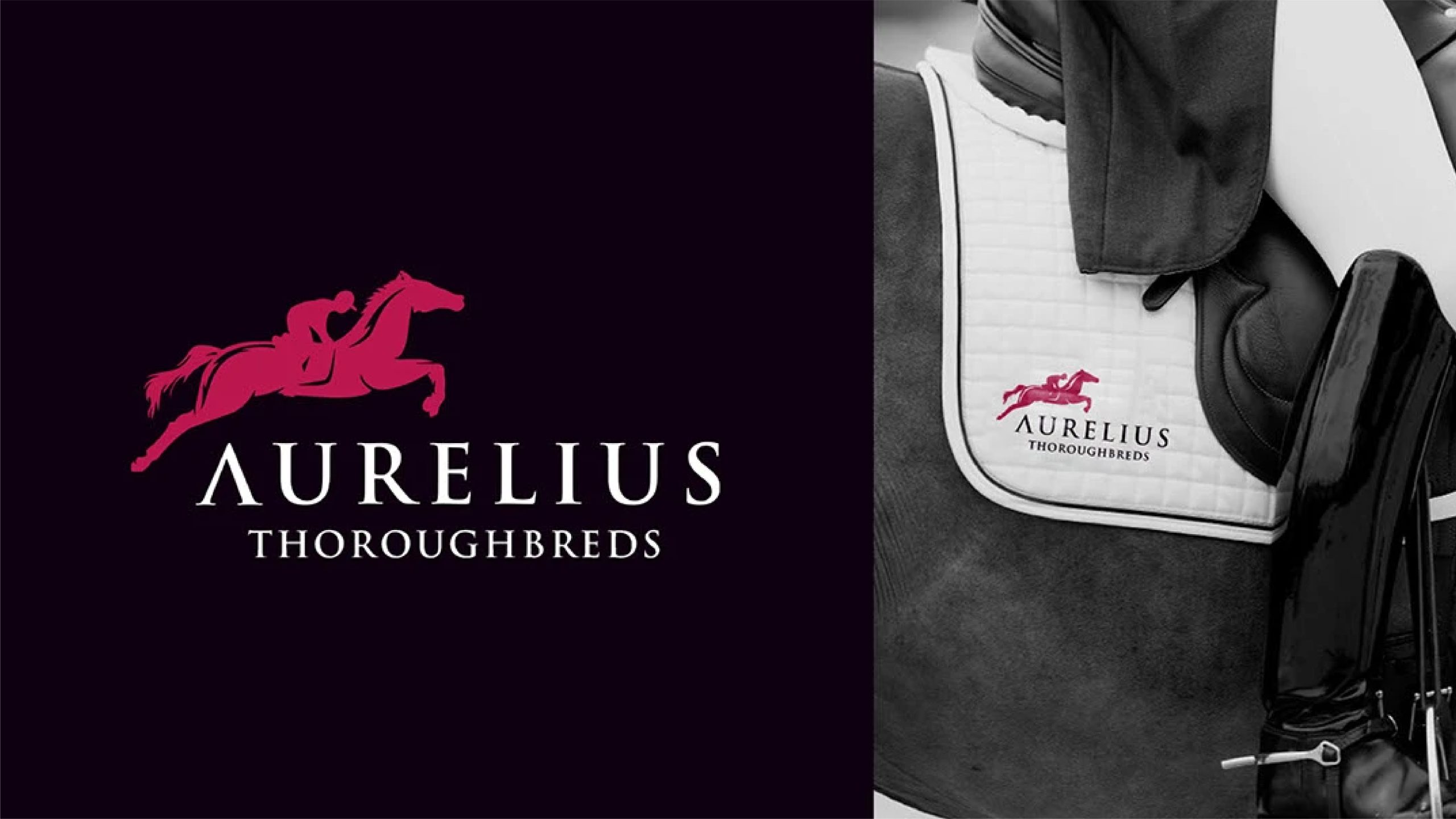 Aurelius — gallery image 2