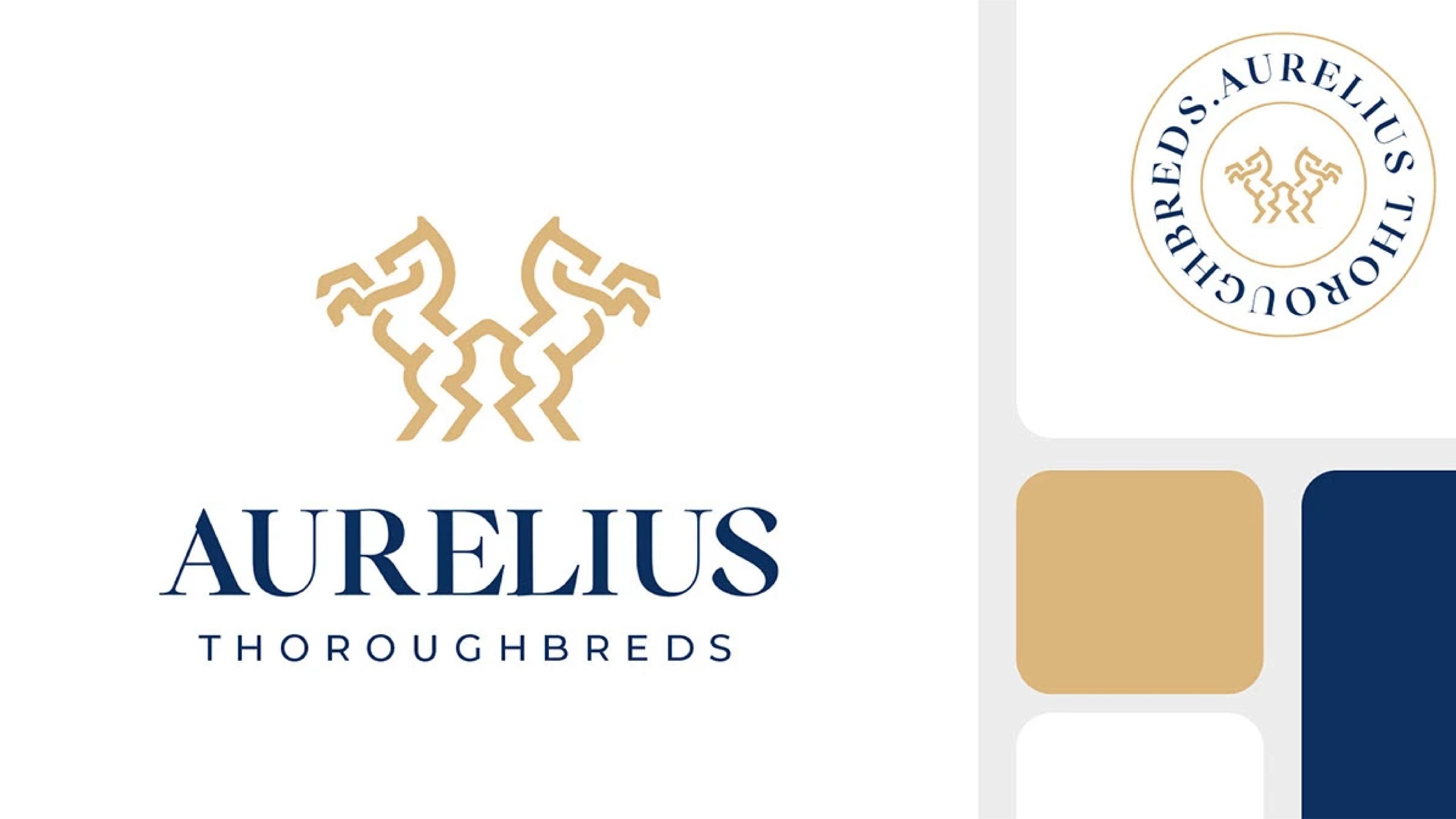 Aurelius — gallery image 3