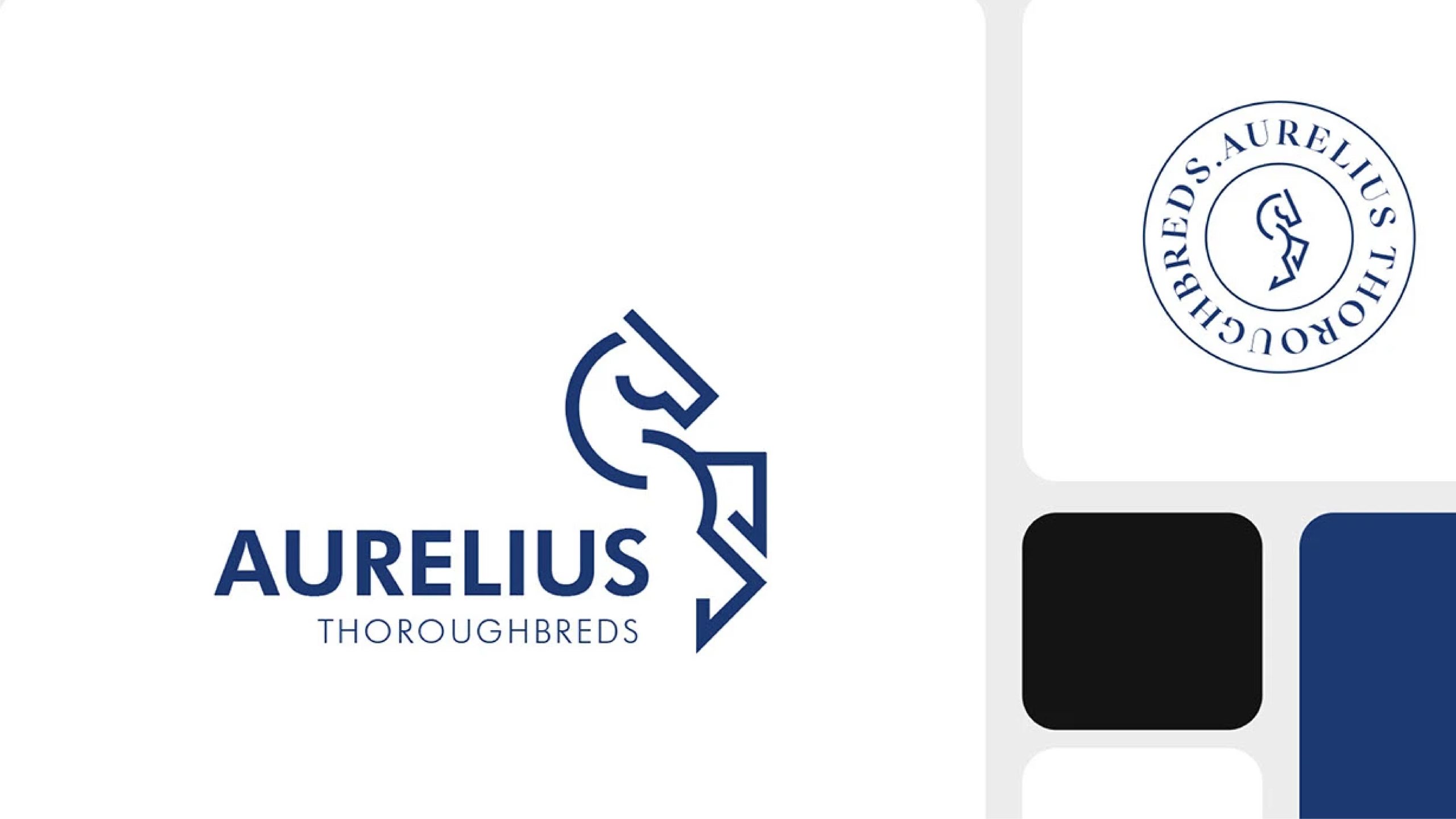Aurelius — gallery image 12