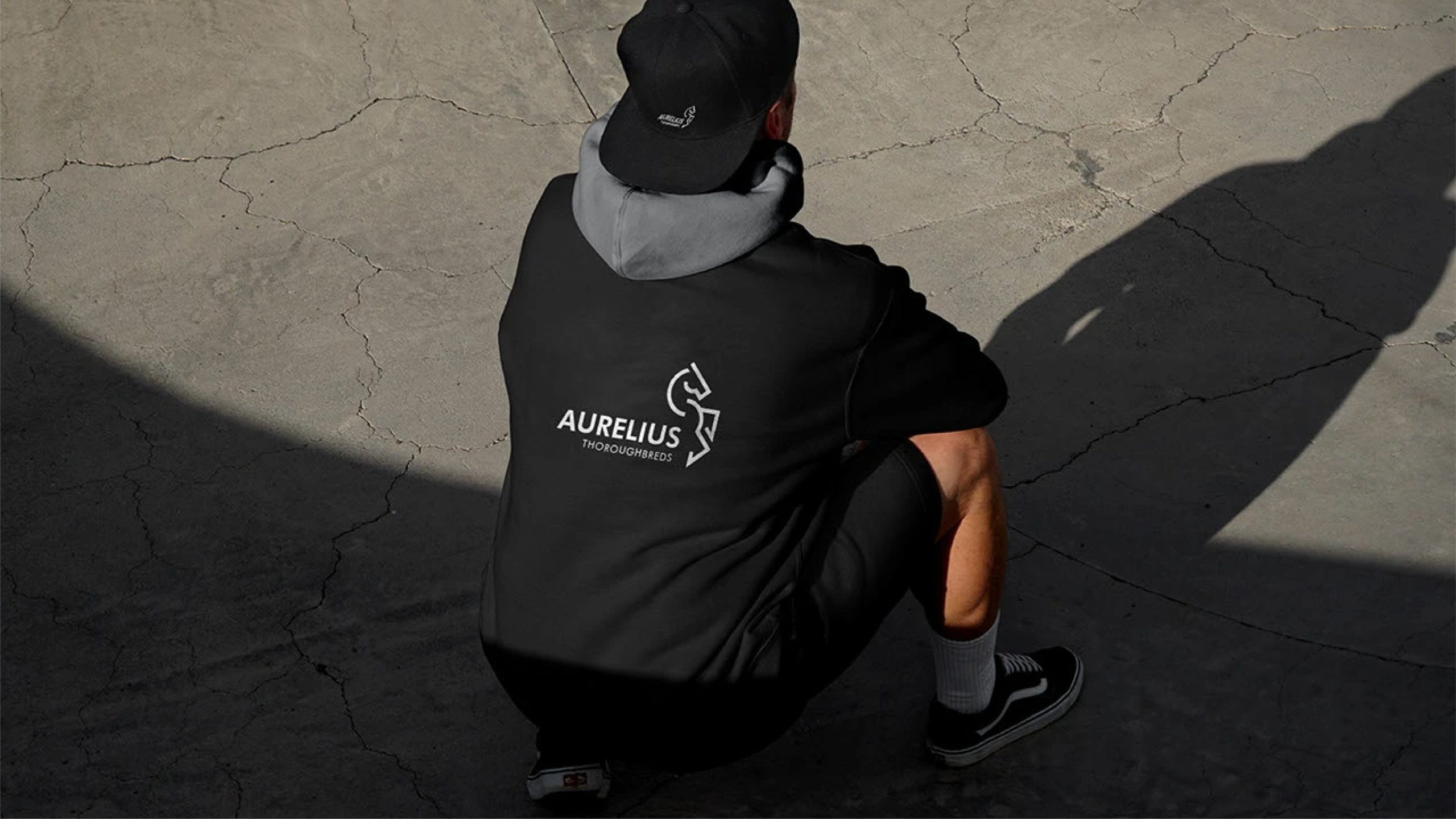 Aurelius — gallery image 5