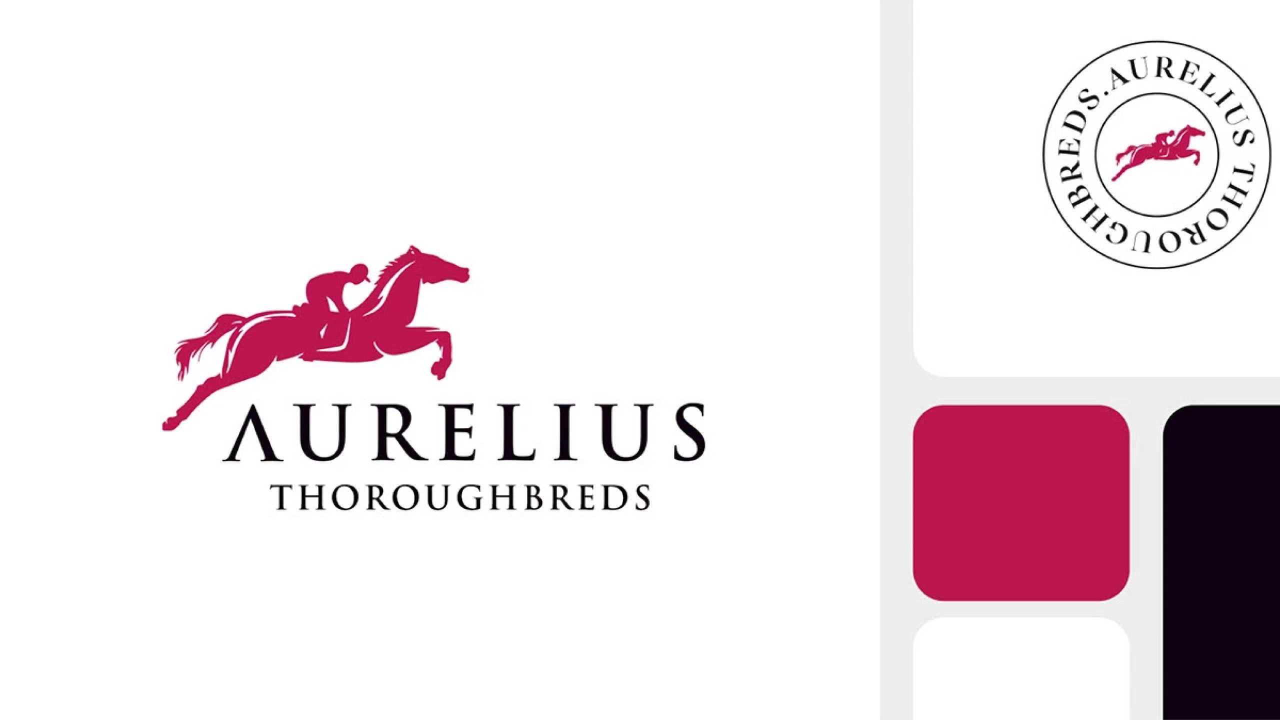 Aurelius — gallery image 9