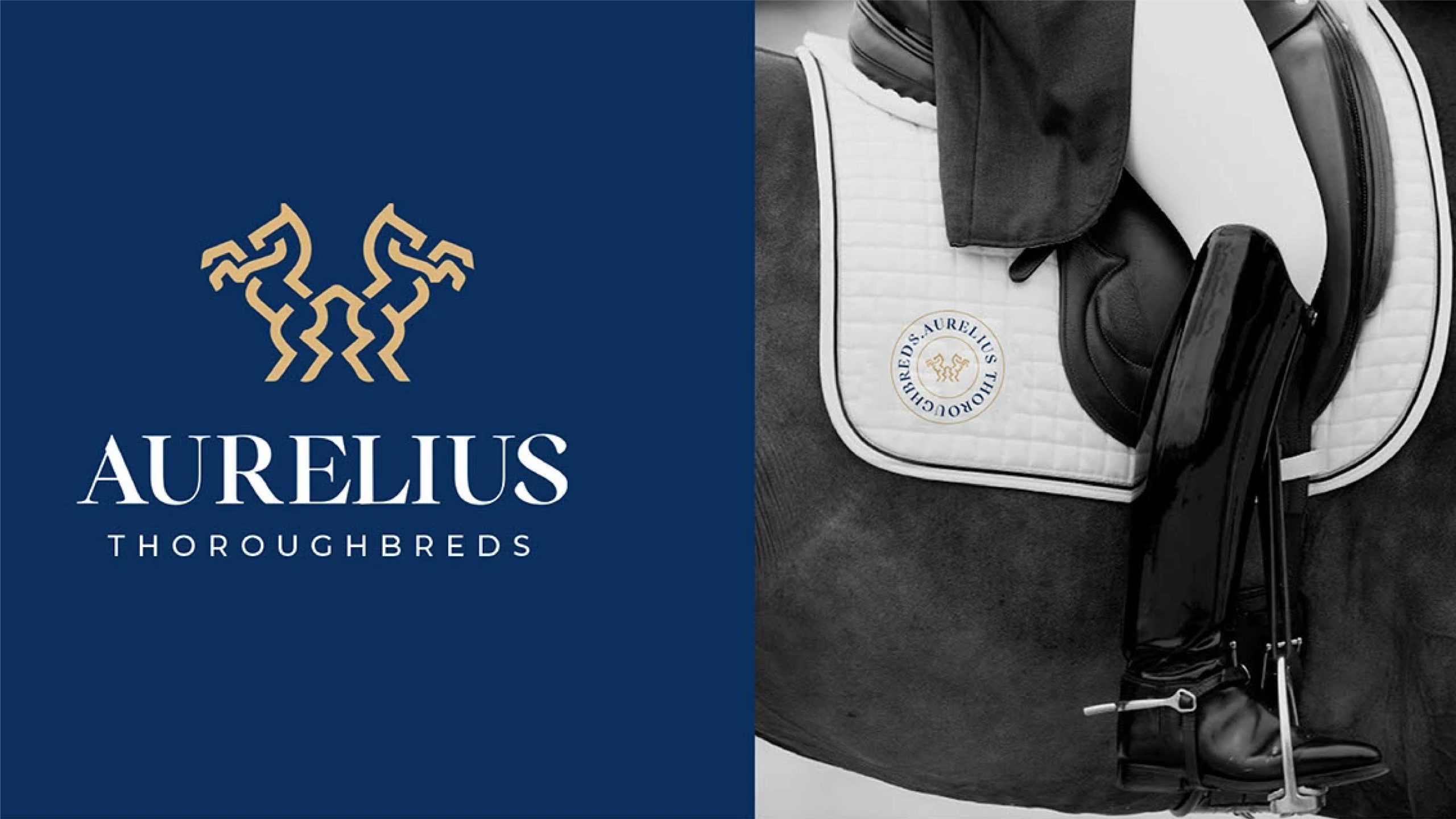 Aurelius — gallery image 8