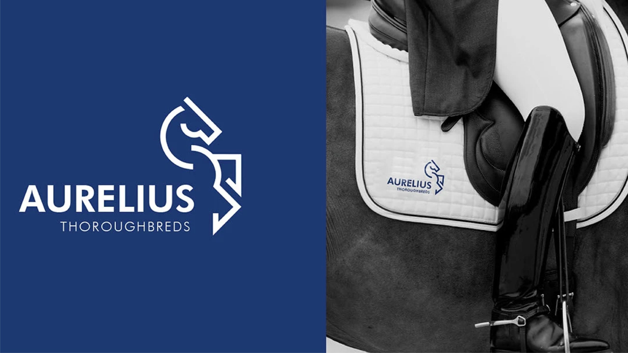 Aurelius — gallery image 7