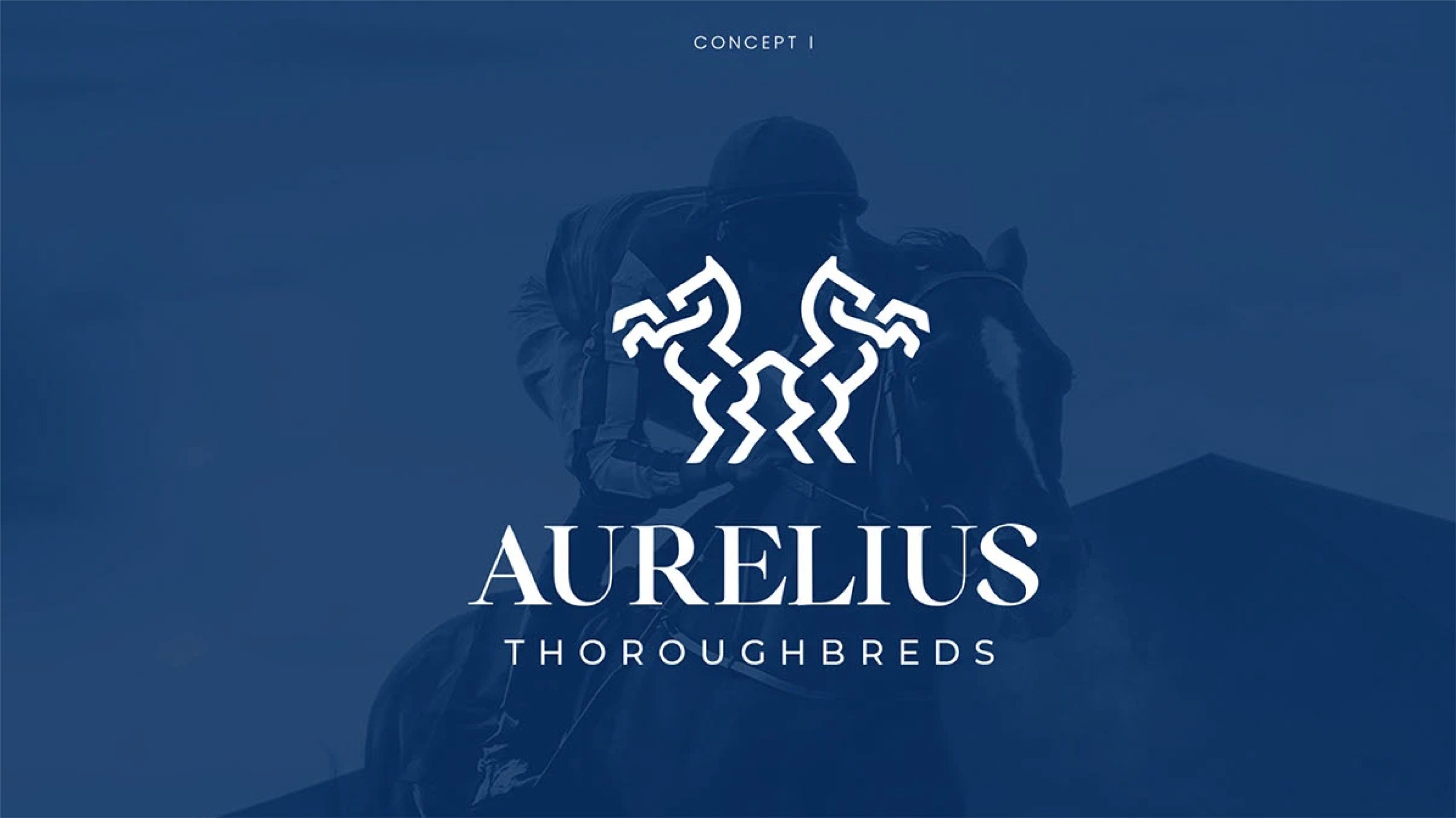 Aurelius — gallery image 11