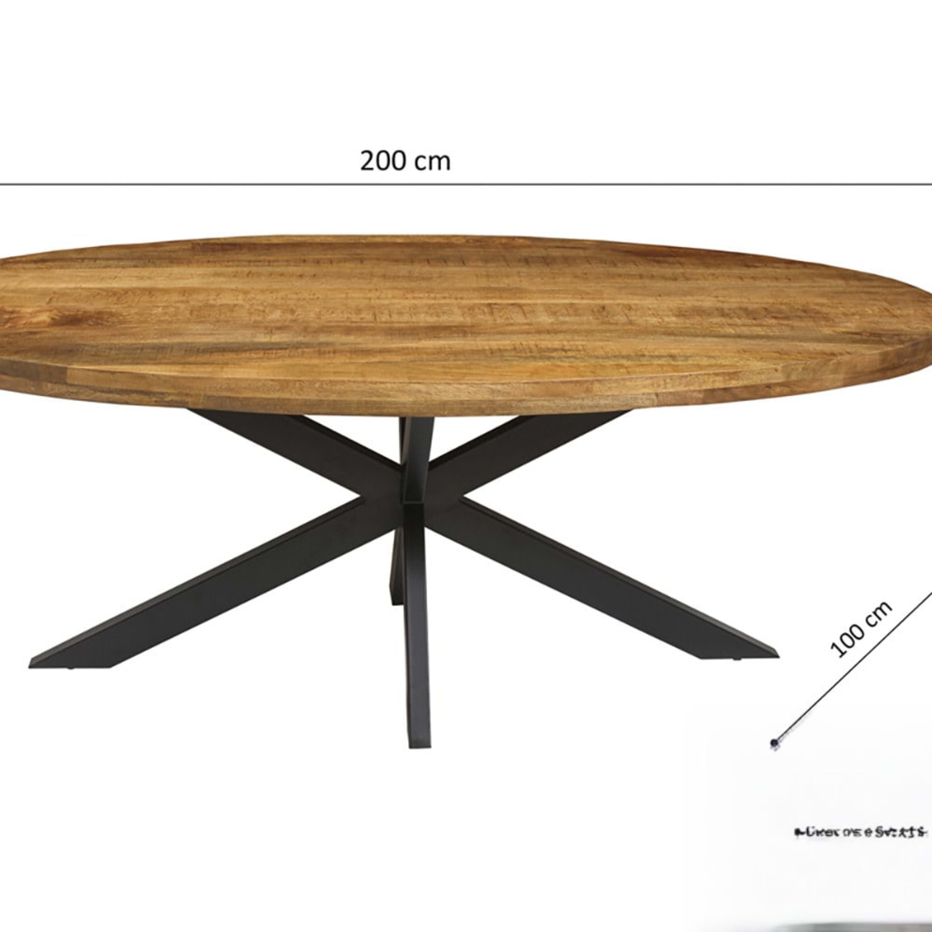 Tafel 'Alexa' 200 cm Ovaal Mango hout — 4