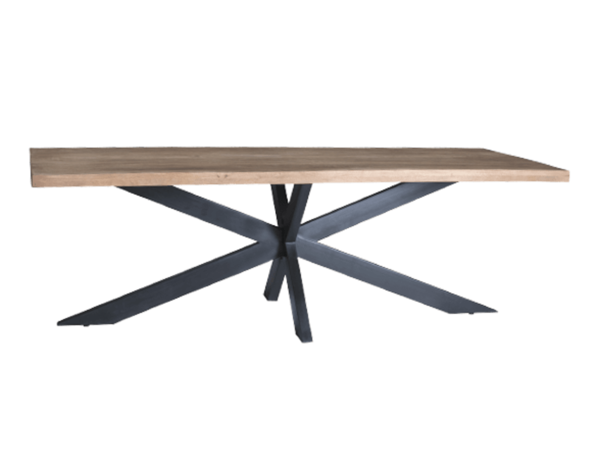 Sturdy Spider 240 cm
