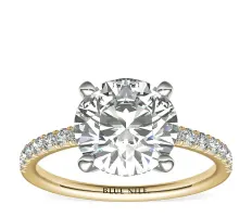 2.5ct.RD in *Delicate* French Pavé Diamond Engagement Ring in 14k Yellow Gold (1/4 ct. tw.)