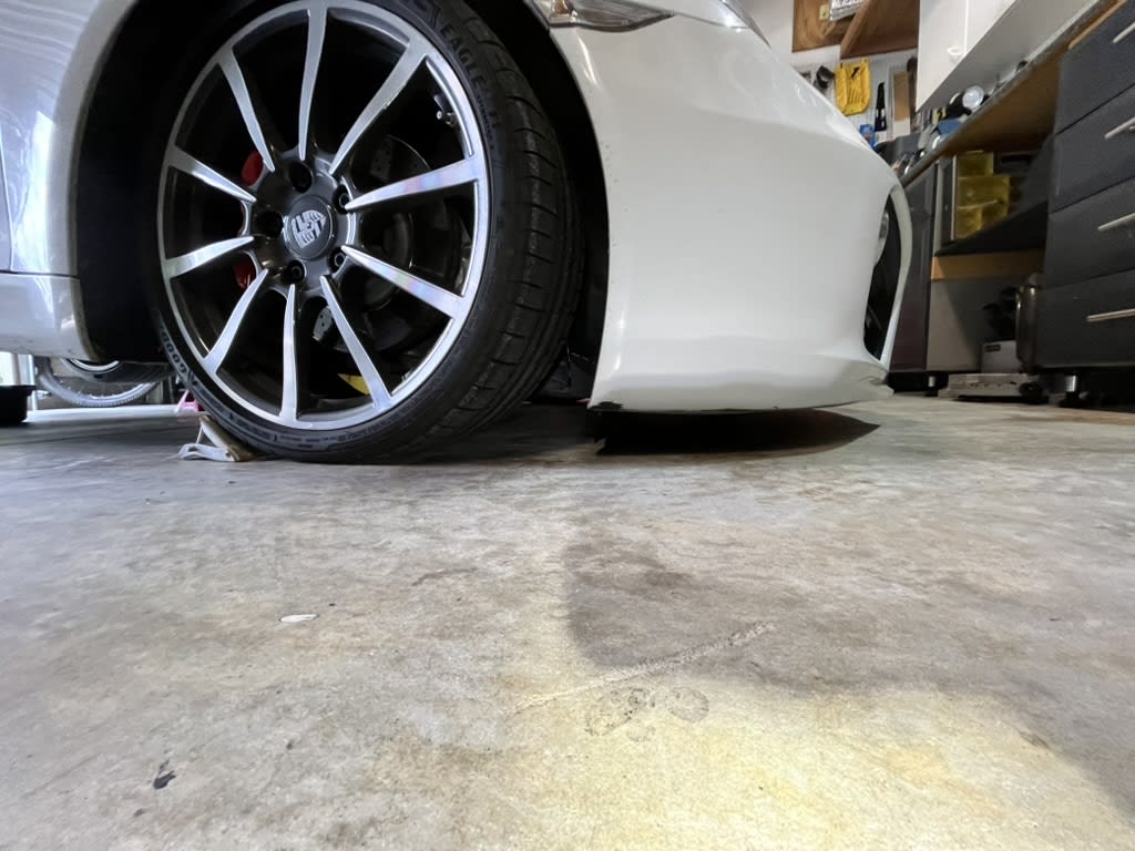 Shorty got low, low, low...