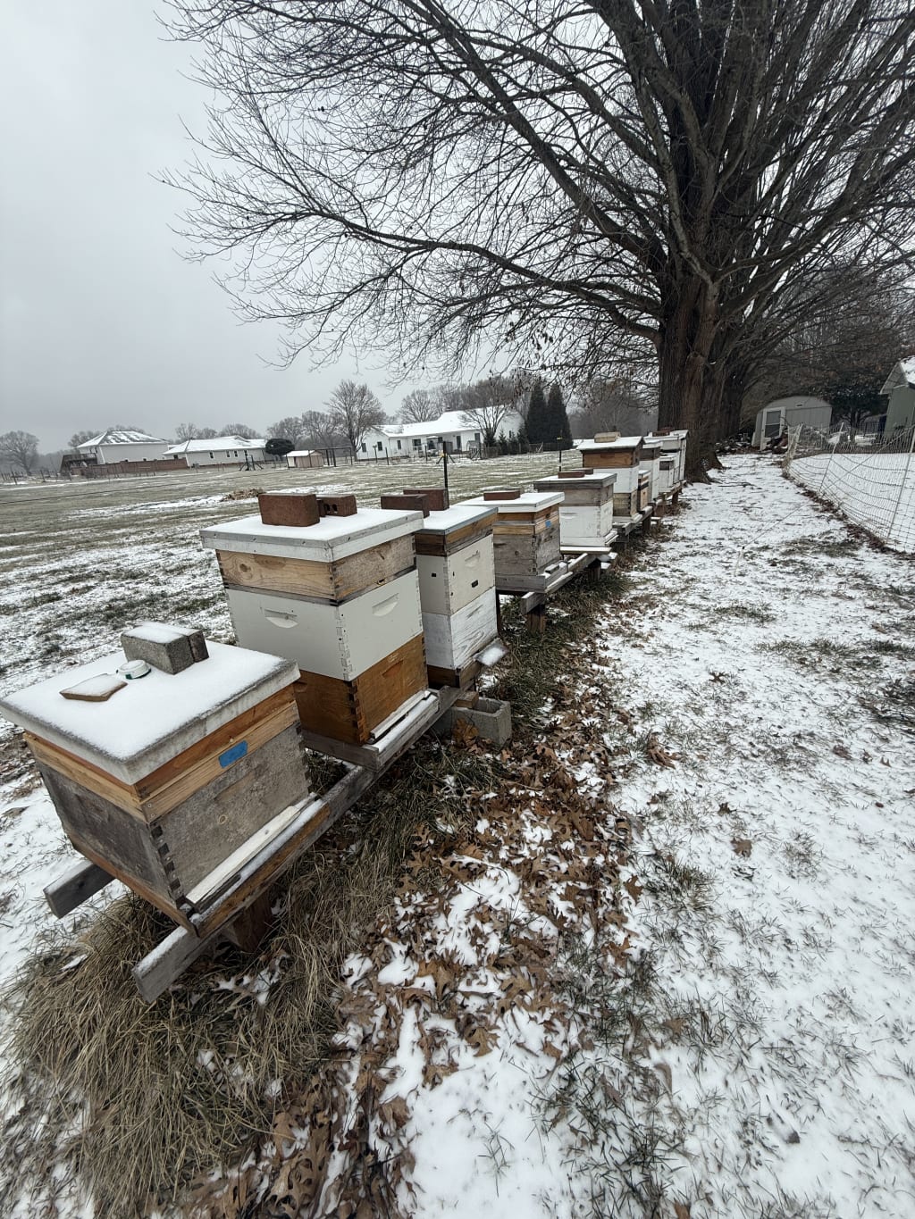 It was a lot colder out there than it looked.