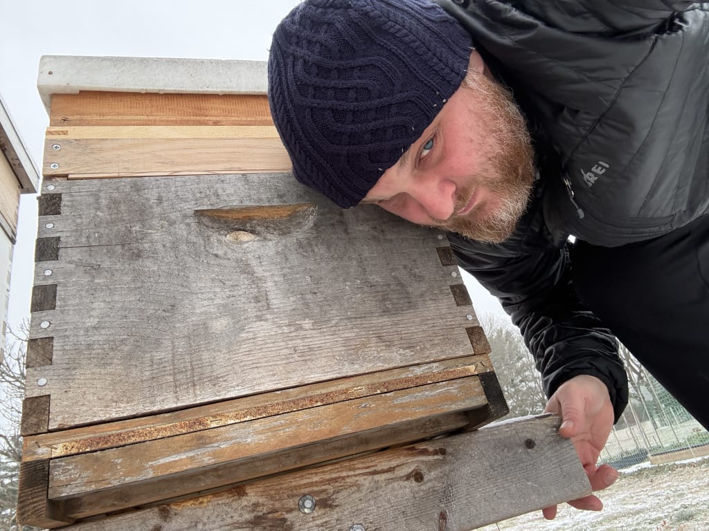 The only way to know if the bees are alive is to put your ear flat against the box and hope to hear the humming noise.  So far so good on the few hives I have listened to.
