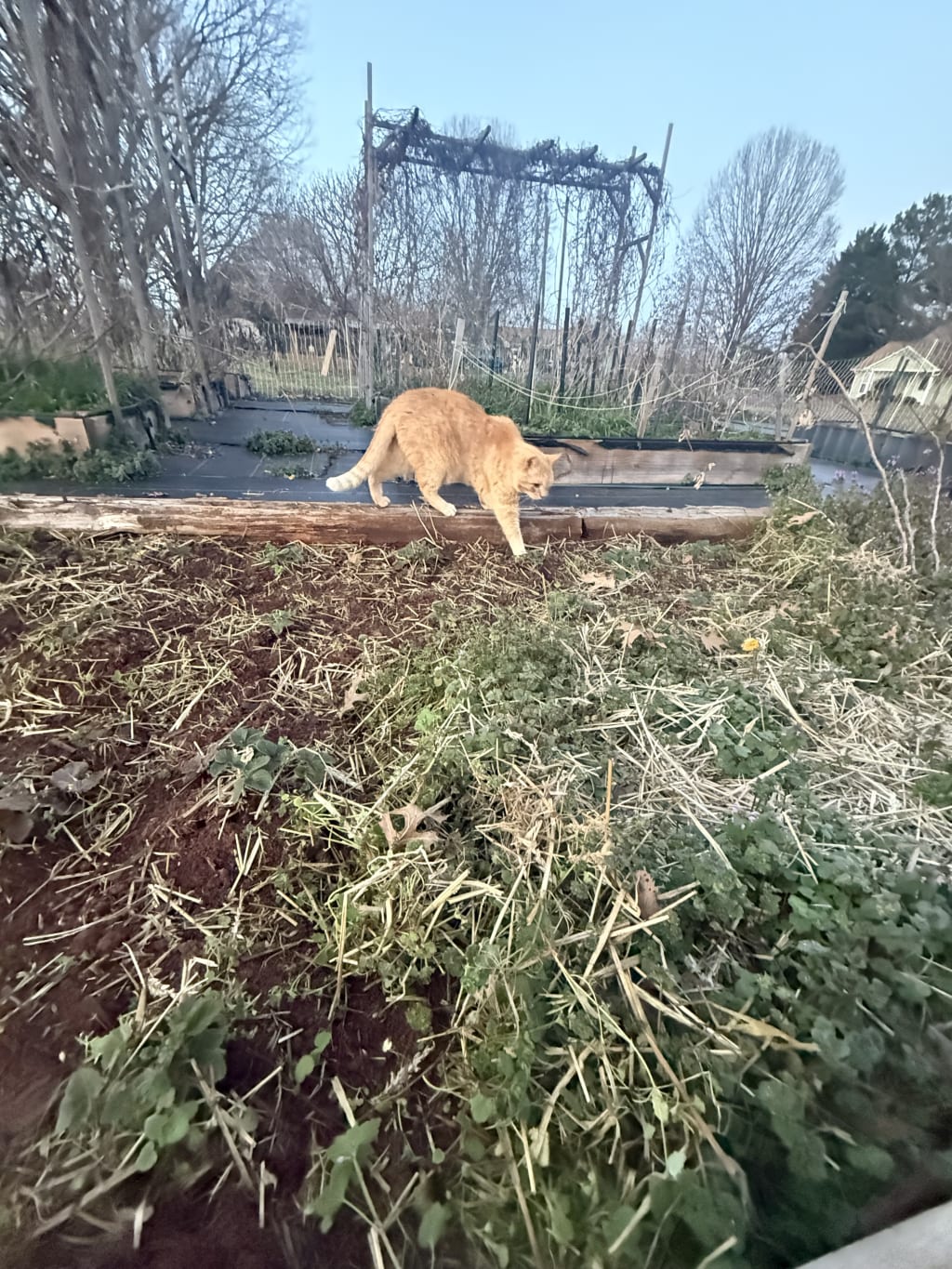 Good thing Larry was around to land a helping hand.