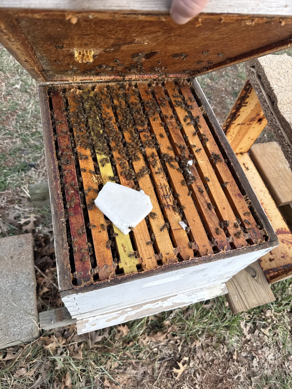 When I have fondant blocks, I give those to the bees.  They definitely prefer them over just sugar blocks.  They eat through the fontsnt first and fast.