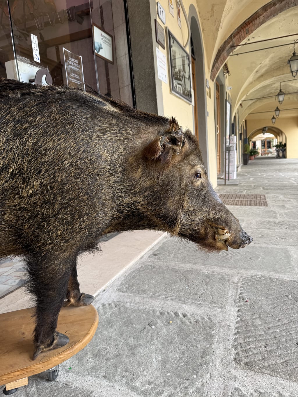 A taxidermy wild boar standing on a small wooden platform with wheels.