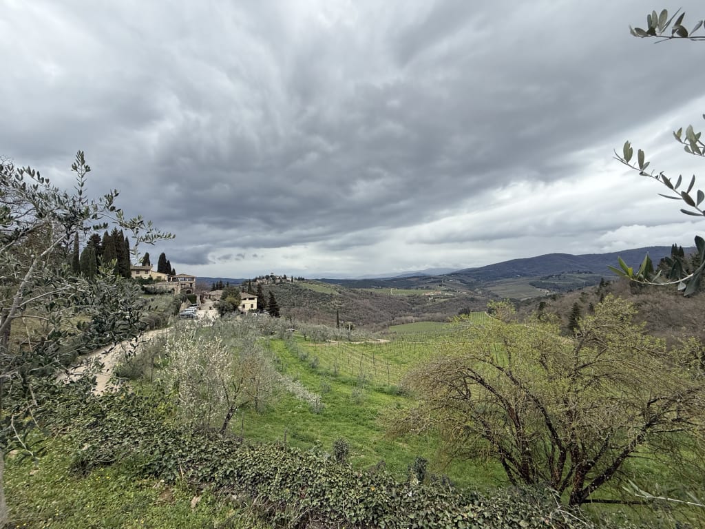 Cloudy sky over a lush green valley with olive trees and hillside houses.