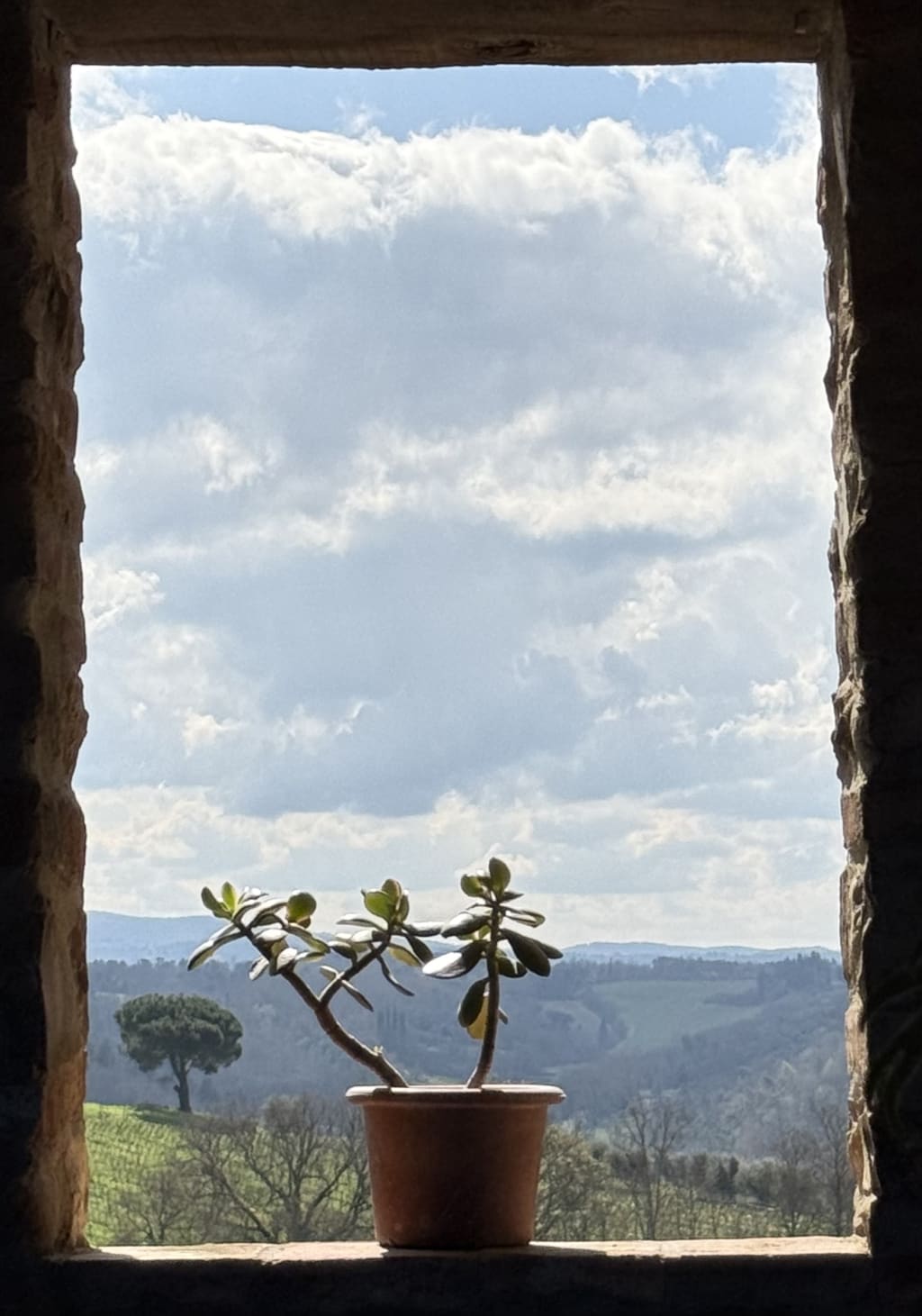 If I was a succulent plant, I’d want to be this one.