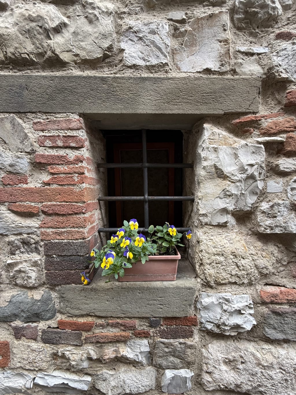 Lovely window with potted flower.