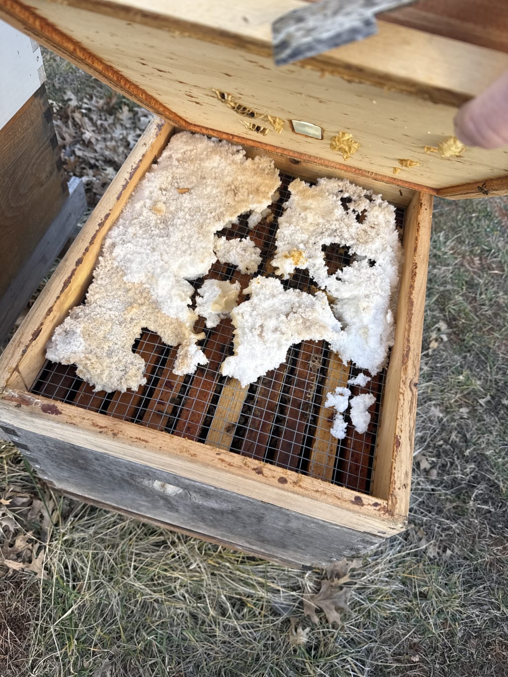 With the bees out of the way, after smoking them - it is easier to get a clear view of how much of the sugar is left and how much they ate.