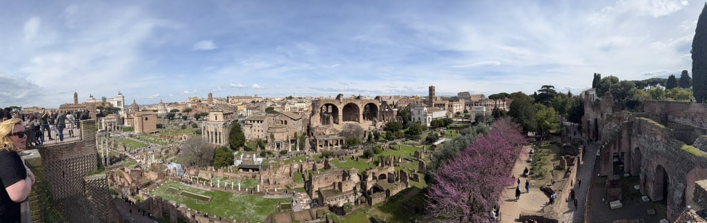 A panoramic view of the Roman Forum ruins with tourists and blooming trees.