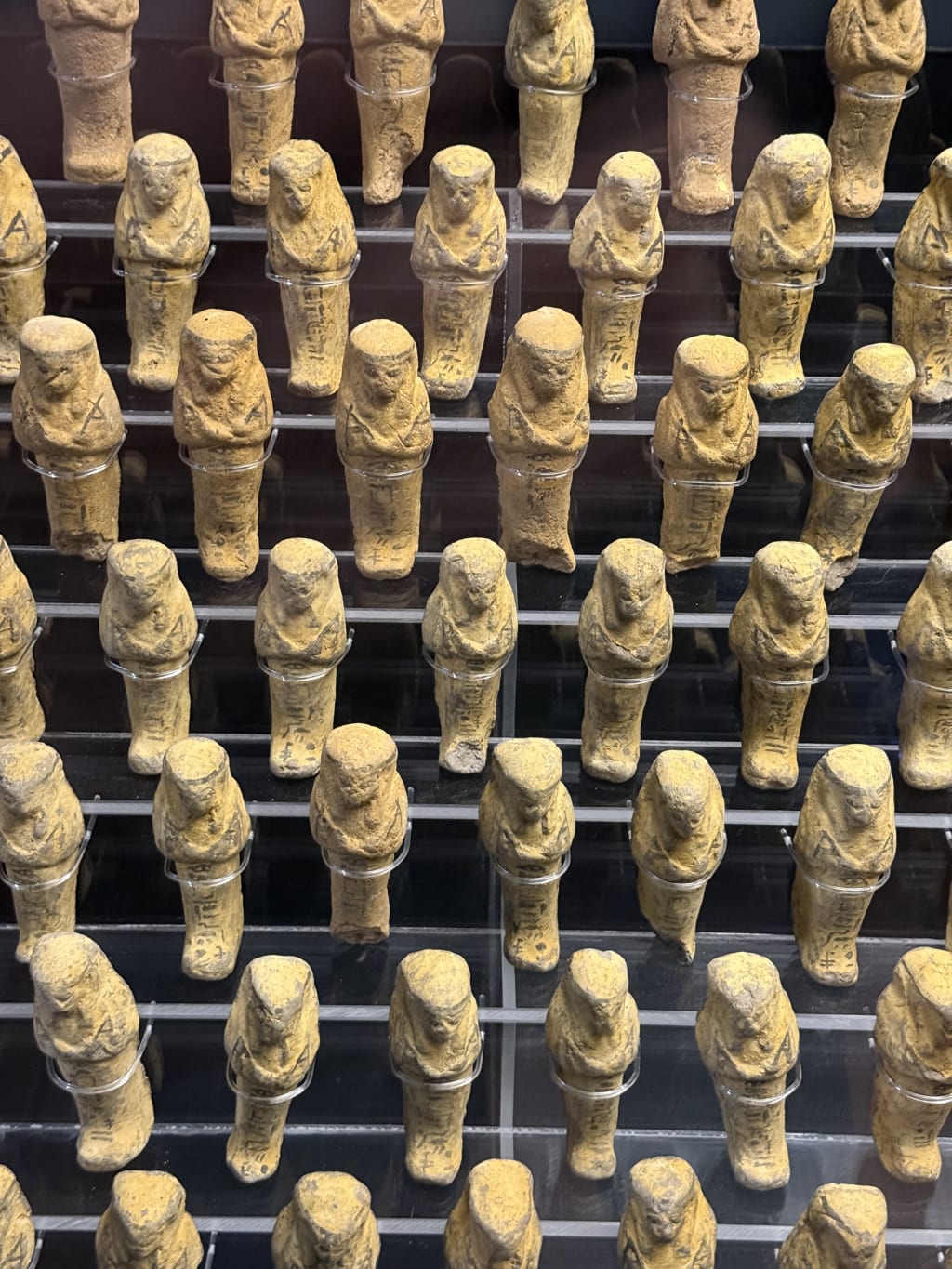 Small ancient Egyptian shabti figurines displayed in rows on a glass shelf.