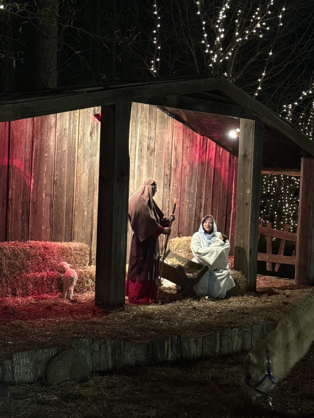 So Joseph went up from Galilee, out of the city of Nazareth, into Judea, to the city of David, which is called Bethlehem, because he was of the house and lineage of David, to be registered with Mary his betrothed wife, who was with child.