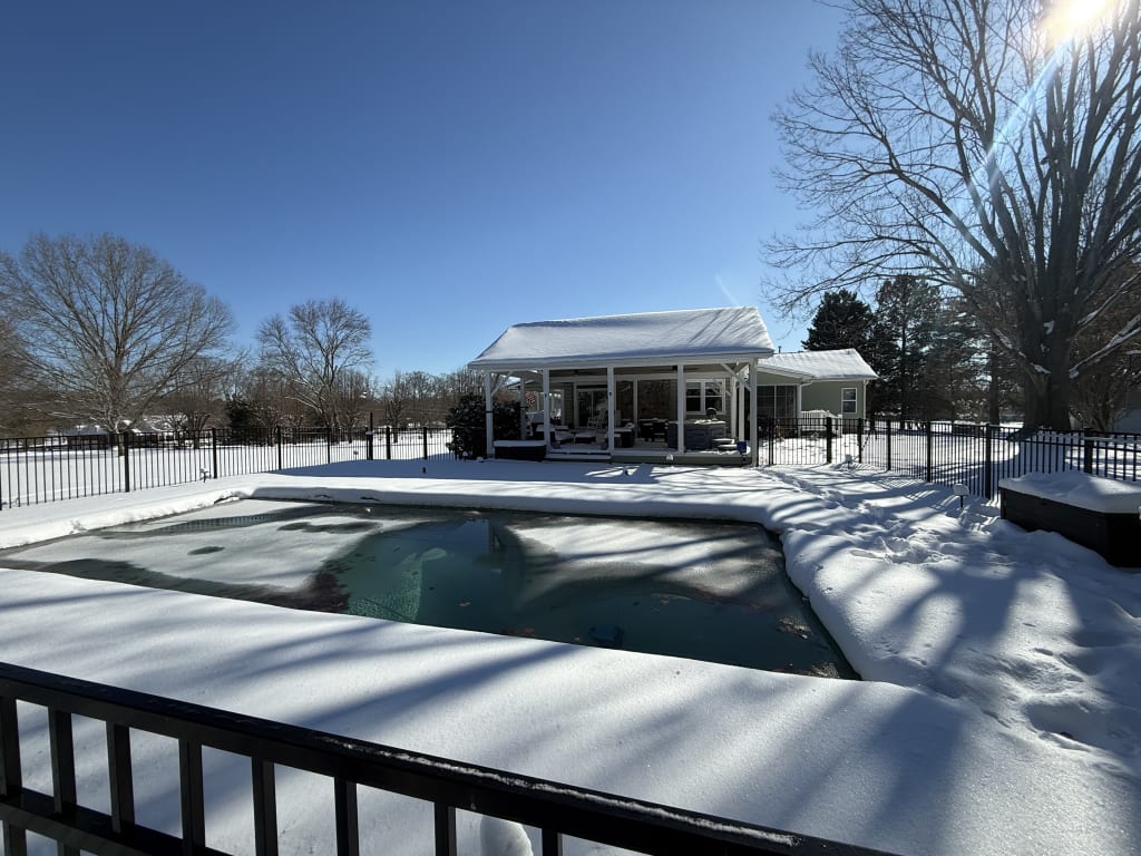 Anyone ready for a polar plunge?