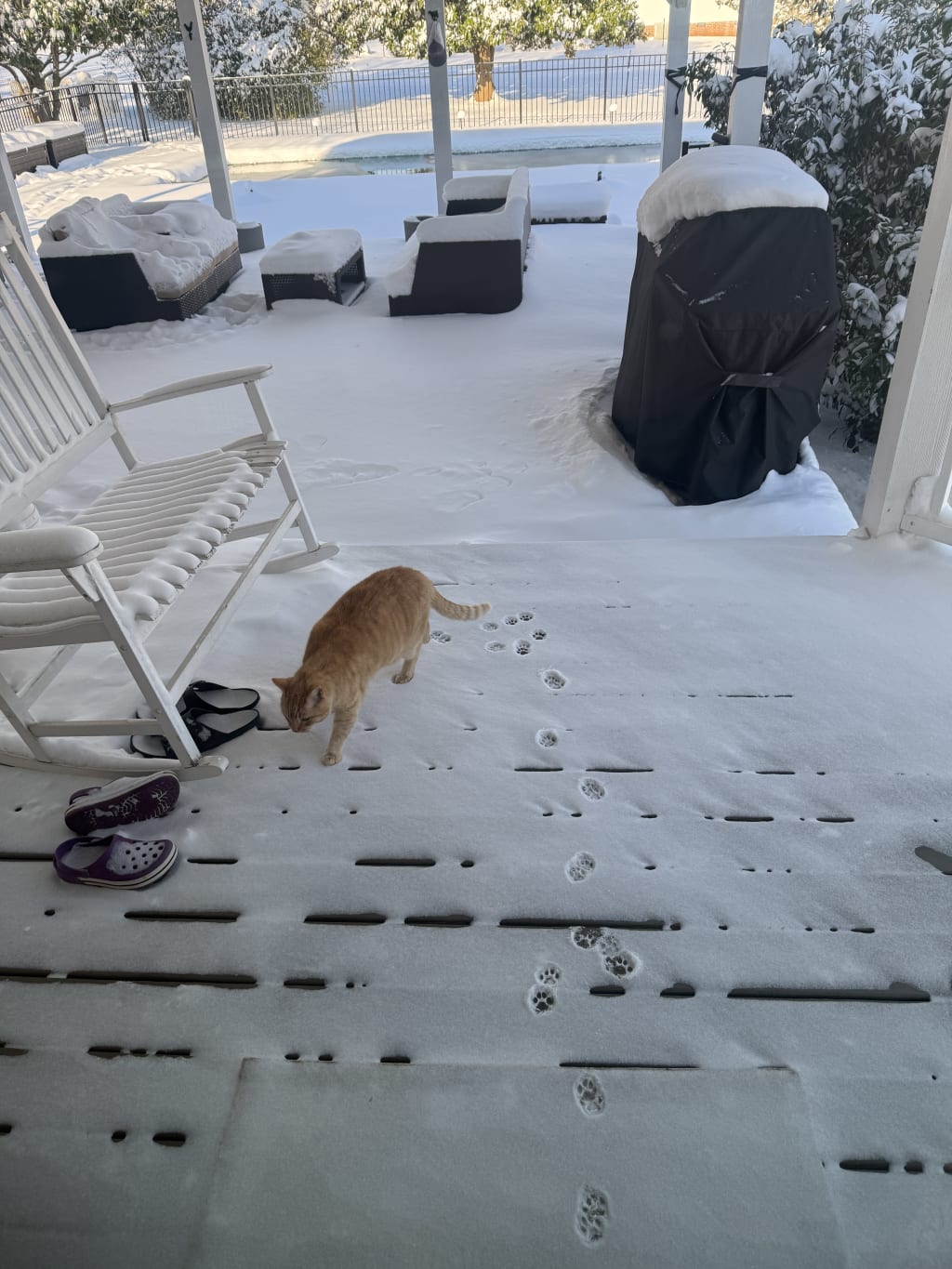 That's how far Larry made it his morning before he came back in.