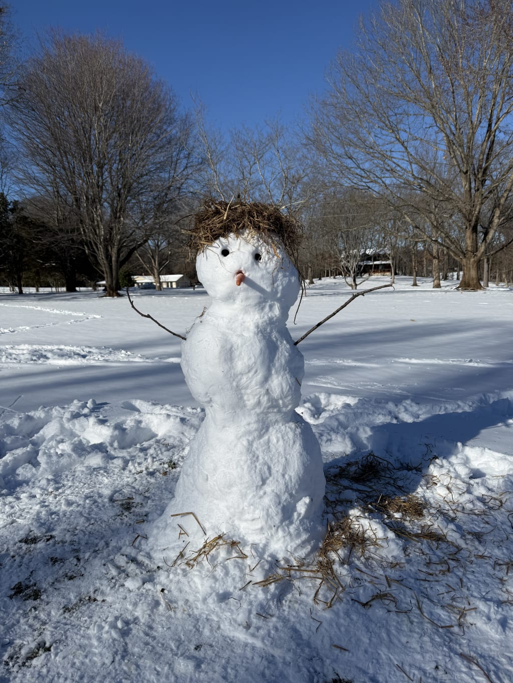 The snow man is sporting one of them modern boy haircuts.