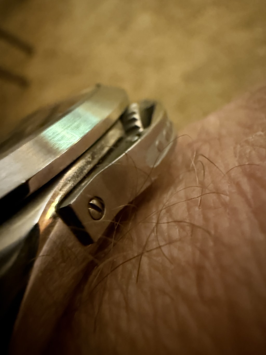 Close-up of a metal watch case with a visible mounting screw on a wrist.