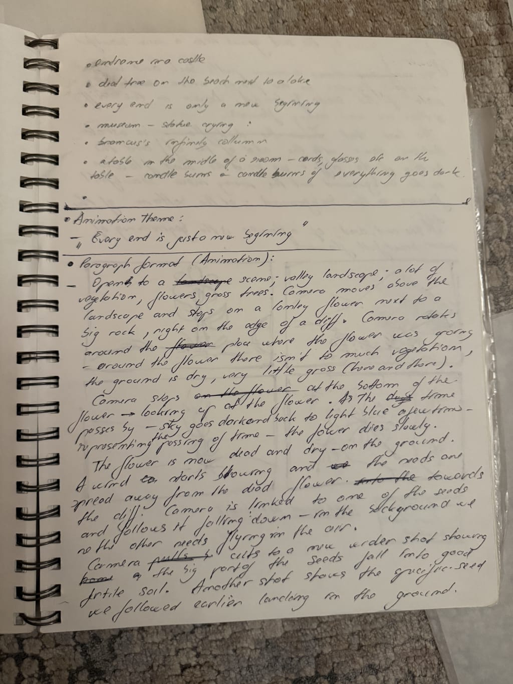 Photo of handwritten animation theme notes describing a valley landscape scene with flower, seeds, and camera movements.