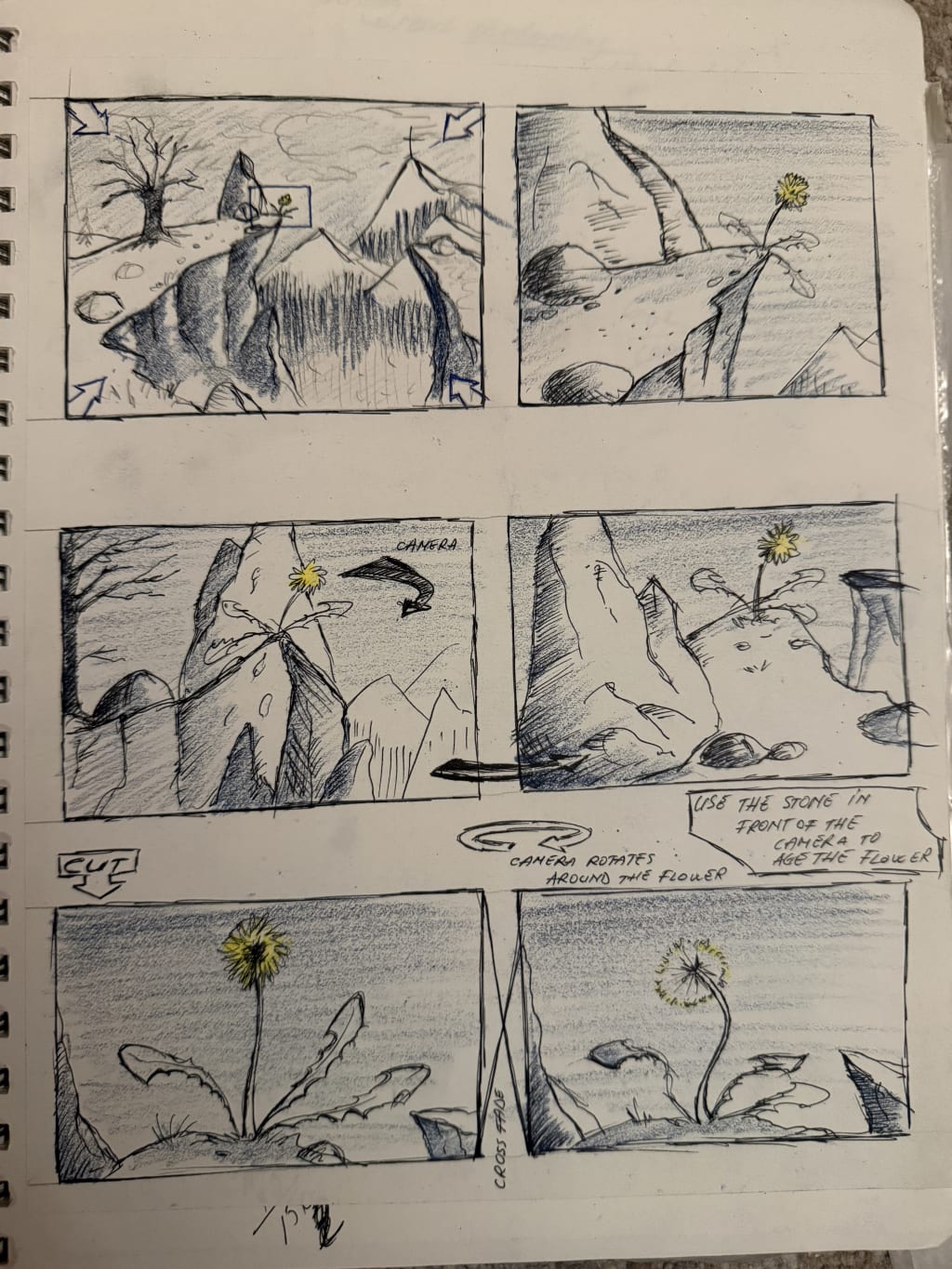 Storyboard sketches depicting a camera rotating around a yellow flower growing on rocky terrain.