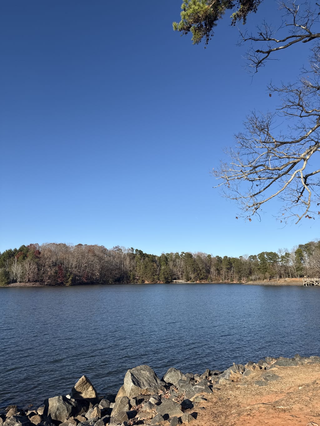 A lakeside view featuring calm water, rocky shore, and trees under a clear blue sky.