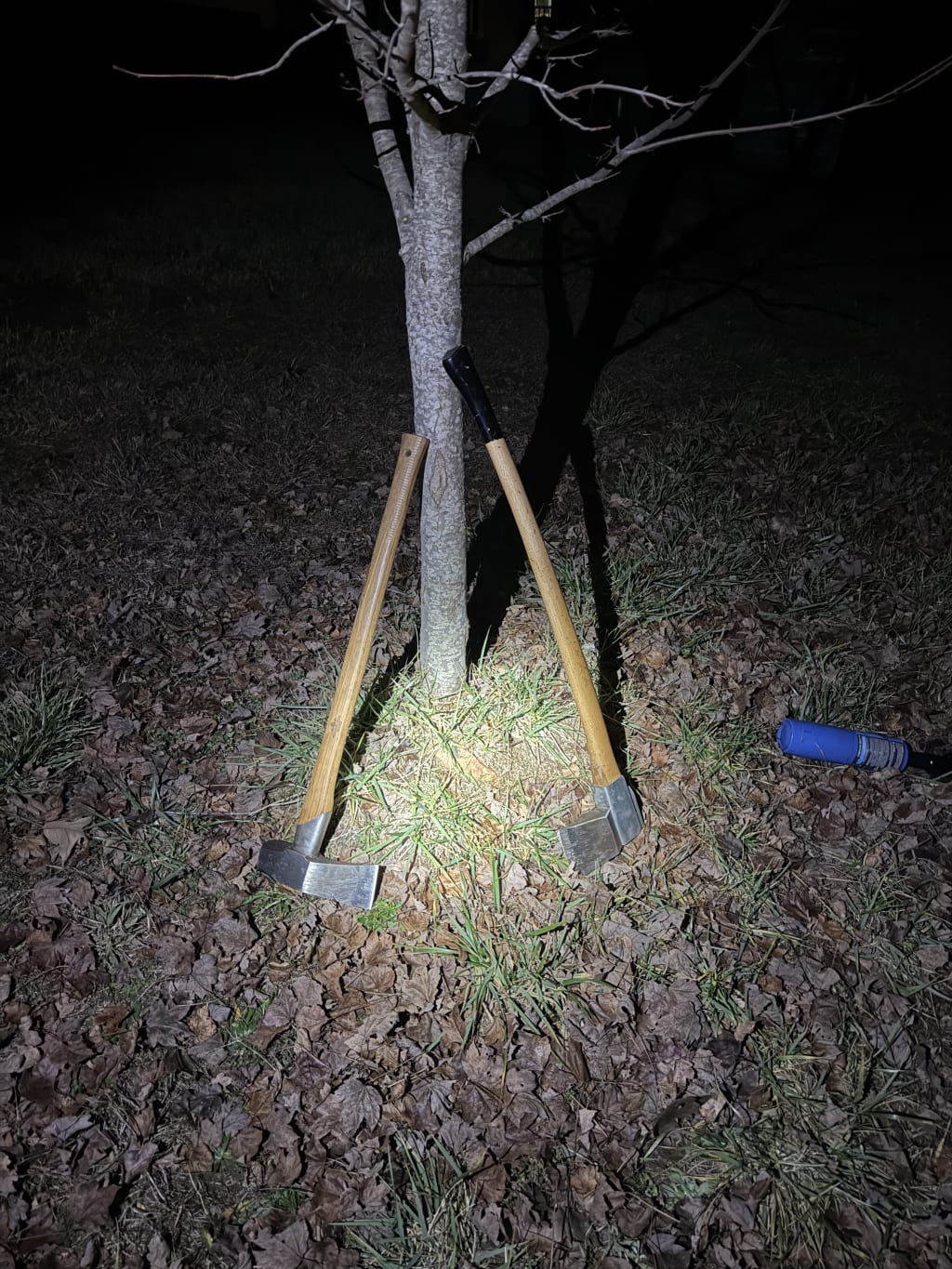 The axes posing by the tree.