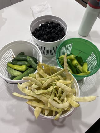 The first fruits of the garden this year
