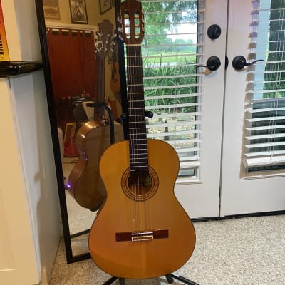 Guitars Live Here