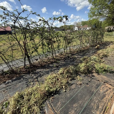 2026 Gardening Season