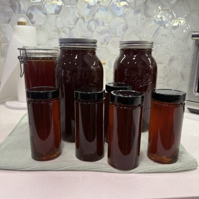 Beekeeping Year 2026