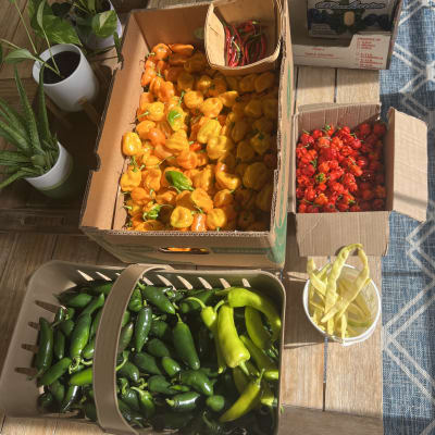 Gale Estates Gardening Highlights