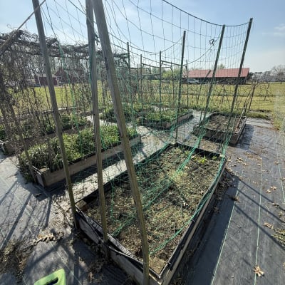 2026 Gardening Season