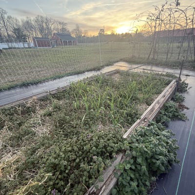 2026 Gardening Season