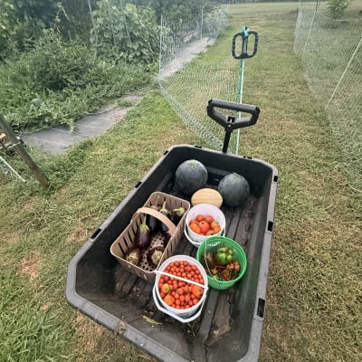 2026 Gardening Season
