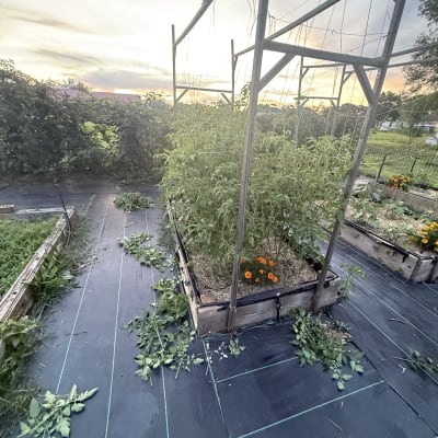 2026 Gardening Season