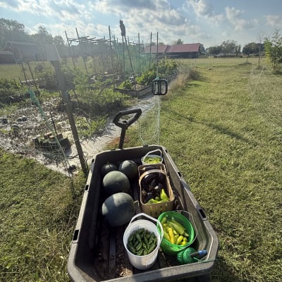 2026 Gardening Season